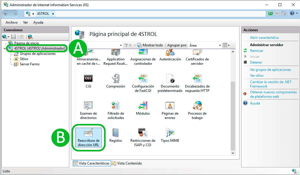 Integrating PERENDER with IIS