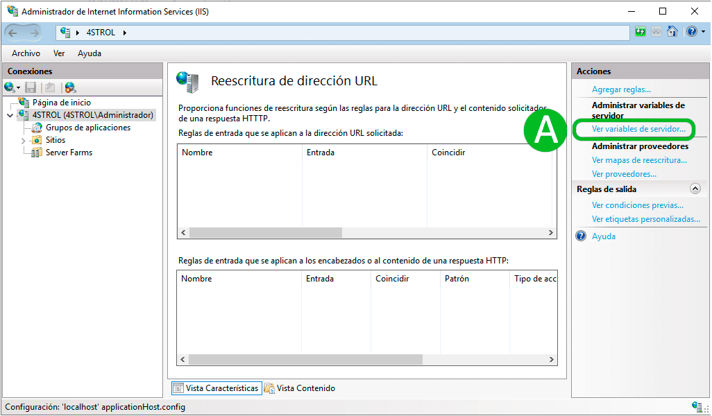 Integrating PERENDER with IIS