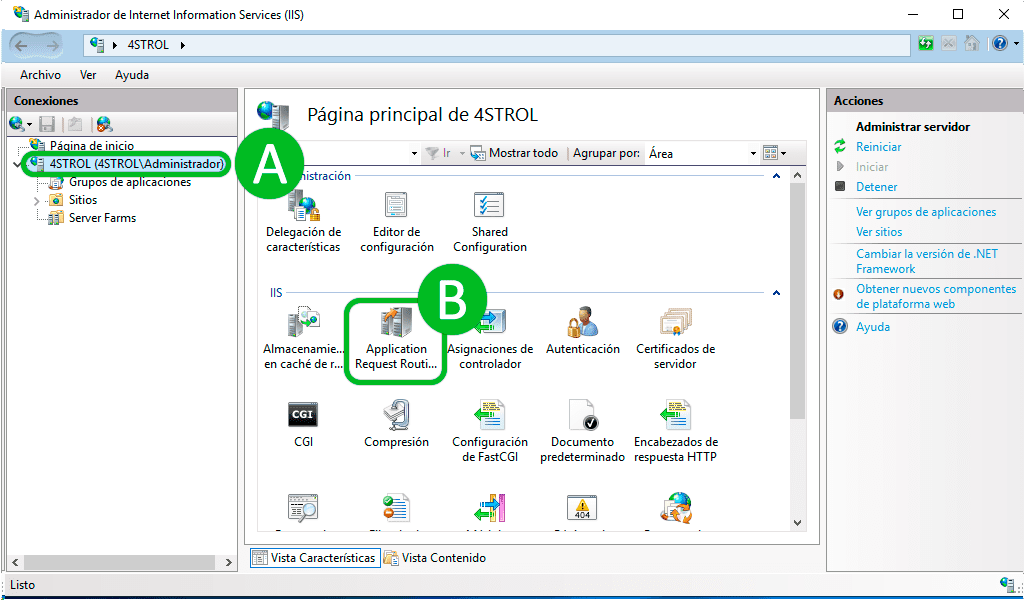 Integrating PERENDER with IIS