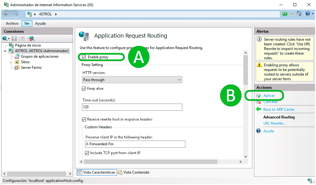 Integrating PERENDER with IIS